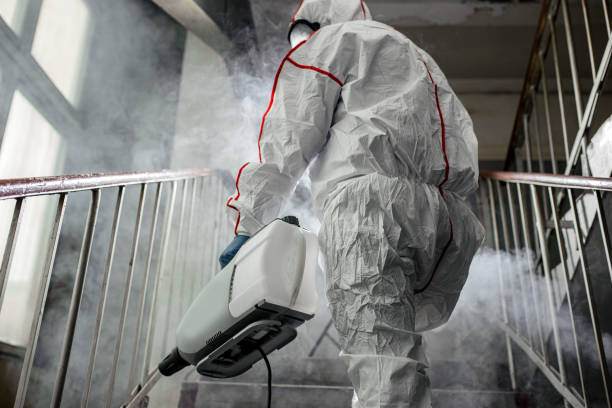 Why You Should Choose Our Mold Remediation Services in Seymour, TN